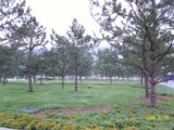 2008奧運優(yōu)質工程之奧林匹克森林公園中心區(qū)