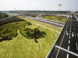 2008社會優(yōu)質工程之機場南線高速公路綠化