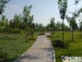 2008社會優(yōu)質工程之潮河生態(tài)公園綠化工程