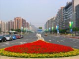 2008北京社會優(yōu)質工程之廣渠門內大街綠化工程