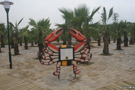 美國