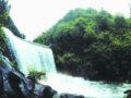 解讀《麗水市白云森林公園總體規(guī)劃》