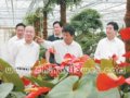 創(chuàng)新改變草橋??訪草橋?qū)崢I(yè)總公司王茂春