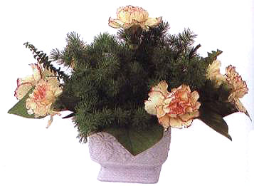ڵײˮƽ8֧L(zhng)Ļȡһ֧ĴֱĻ֦L(zhng)ȑ(yng)^ײL(zhng)Щ