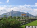 廈門大學漳州校區(qū)綠化(圖)