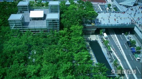 日本崎玉縣空中森林廣場(chǎng)