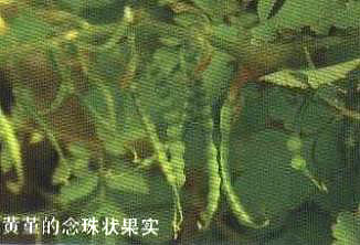 S?yun)y(sh)