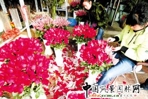 (ji) ƴ˹(ji)õ彛(jng)(j)(D)