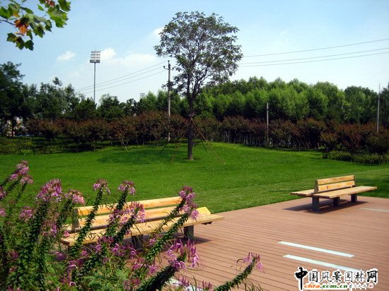 2008|֮Ļwȴؾ^