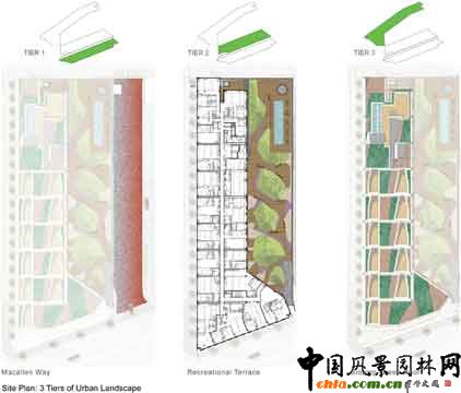 2009ASLA綜合設計類榮譽獎--麥卡倫公寓樓