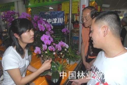 D黨ľI(y)TBa(chn)Ʒ