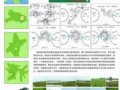 華中農(nóng)大畢業(yè)生作品之紅旗島濕地公園規(guī)劃設(shè)計(jì)