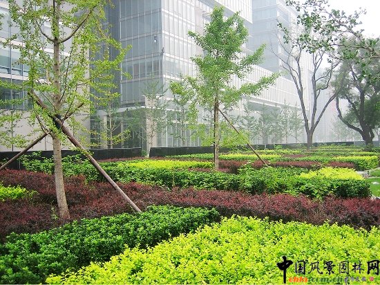 凱晨廣場(chǎng)--綠化景觀