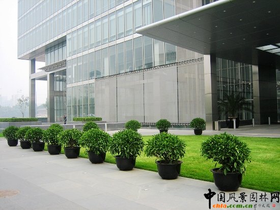 凱晨廣場(chǎng)--室外景觀效果