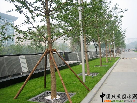 凱晨廣場(chǎng)--室外景觀效果