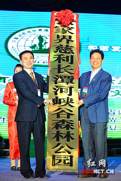 ҽ硿2010ҽHɭ(ji)ߺB(ti)Ļ(ji)_Ļ(D)