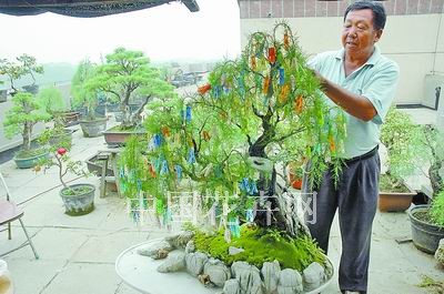 D1գԏ(qing)ÊAڽo(zhn)䅢ӾG(hu)辰ҰɟoԙM