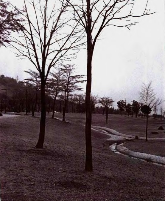 戶田芳樹作品：綠色津南中央庭園 中國風景園林網(wǎng)