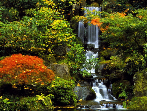 日本 景觀 庭院 設計 特色 水景 中國風景園林網(wǎng)