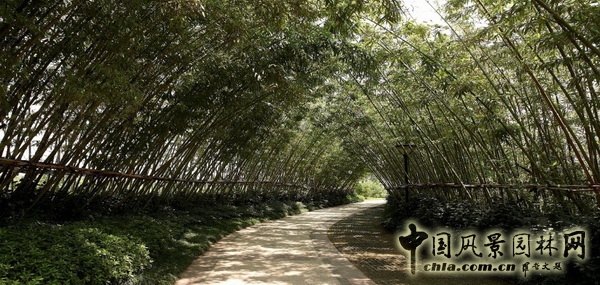 風景園林師論壇 居住區(qū)景觀 張文英 中國風景園林網