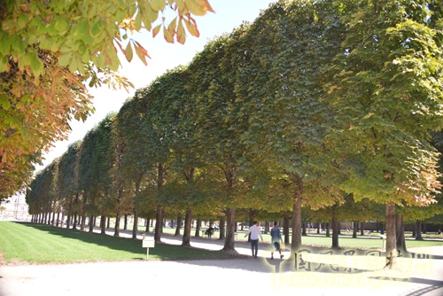 盧森堡公園 景觀設(shè)計(jì) 法國(guó)考察