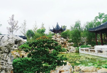 青島世園會 山地園林 青島世園 園林藝術(shù)