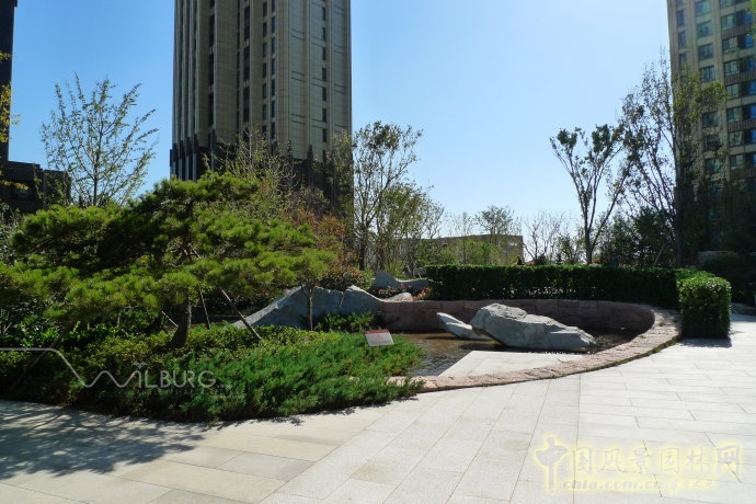 枡野俊明 禪意園林 景觀設(shè)計(jì) 海信天璽 造園設(shè)計(jì)