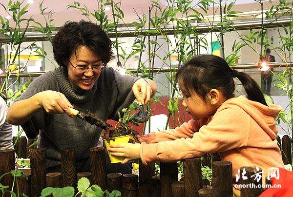 孩子體驗(yàn)中植可食用藥用植物的樂(lè)趣