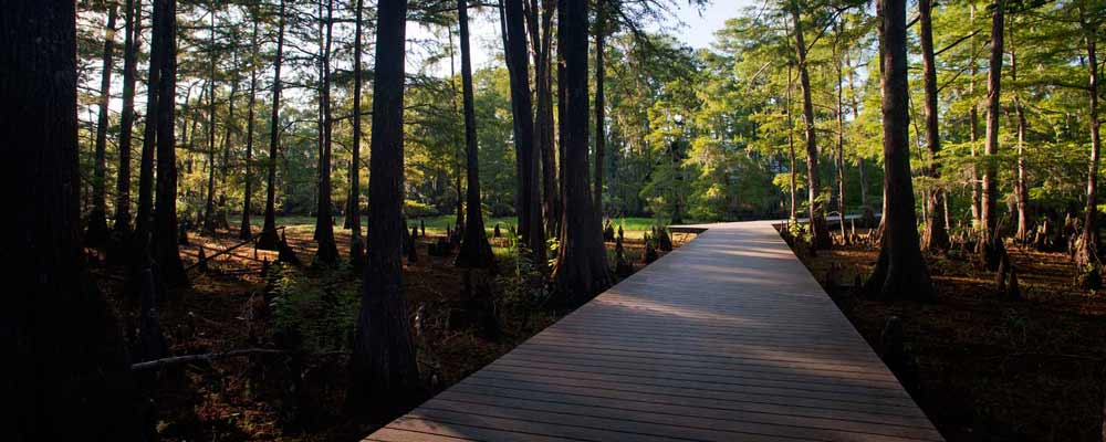 香格里拉植物園 景觀設(shè)計(jì) 植物園 可持續(xù)設(shè)計(jì)