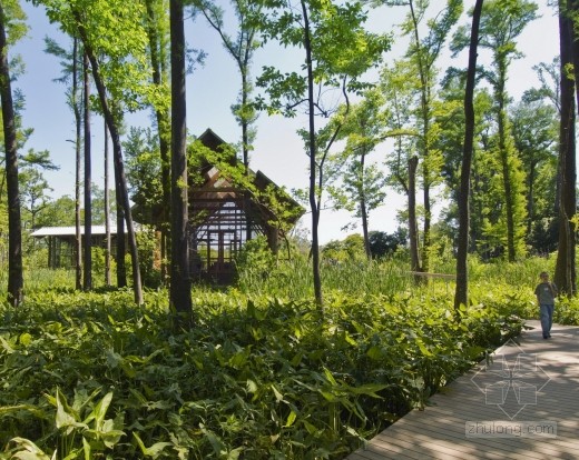 香格里拉植物園 景觀設(shè)計(jì) 植物園 可持續(xù)設(shè)計(jì)