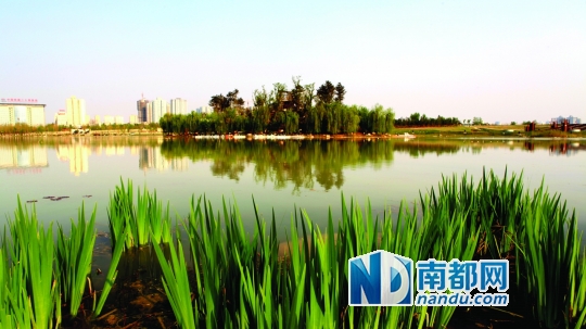 大明宮遺址 遺產保護 改造工程 城市規(guī)劃