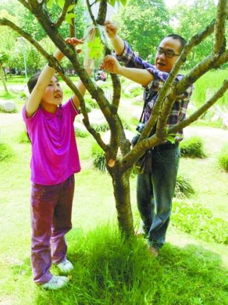 涂先生父女在解放公園里給認(rèn)養(yǎng)的樹(shù)木掛牌。