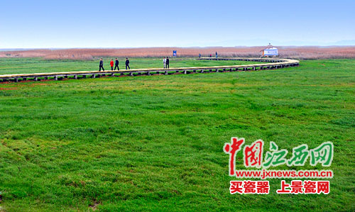 濕地保護(hù) 濕地面積 濕地保護(hù)率