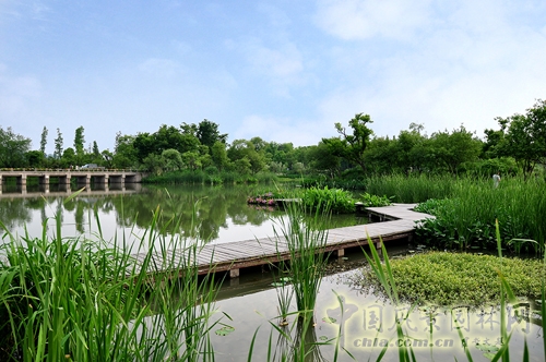 杭州西溪國(guó)家濕地公園