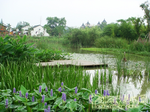 杭州西溪國(guó)家濕地公園