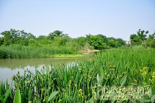 杭州西溪國(guó)家濕地公園