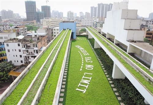 華強路小學教學樓頂上的空中綠地。