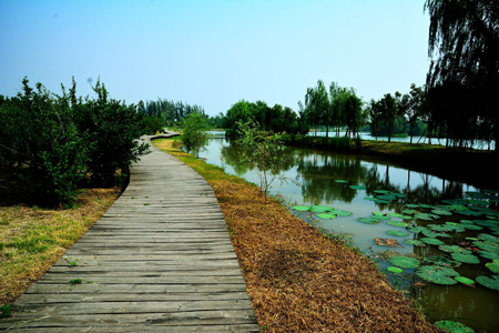 西安：浐灞生態(tài)國家濕地公園