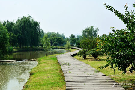 西安：浐灞生態(tài)國家濕地公園