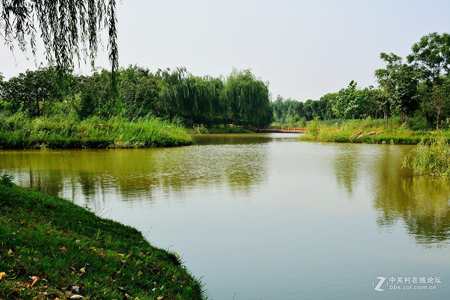 西安：浐灞生態(tài)國家濕地公園