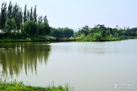 西安：浐灞生態(tài)國家濕地公園