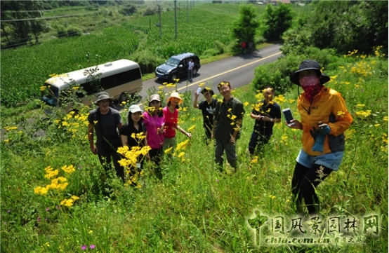 James Hitehmough：發(fā)展可持續(xù)城市的植物群落
