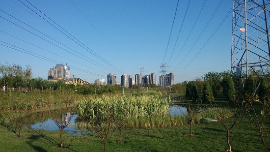 北京望和公園規(guī)劃設(shè)計分析