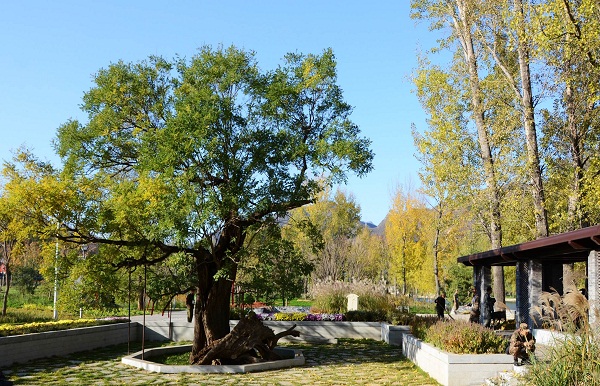 北京雁棲湖生態(tài)發(fā)展示范區(qū)公園景觀建設(shè)工程