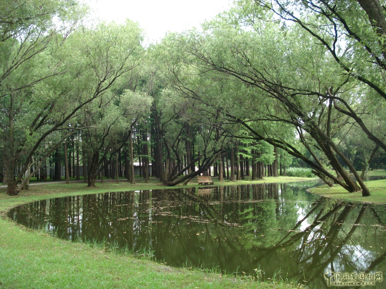 南京林業(yè)大學(xué)風(fēng)景園林學(xué)院社會實(shí)踐活動(dòng)（二）
