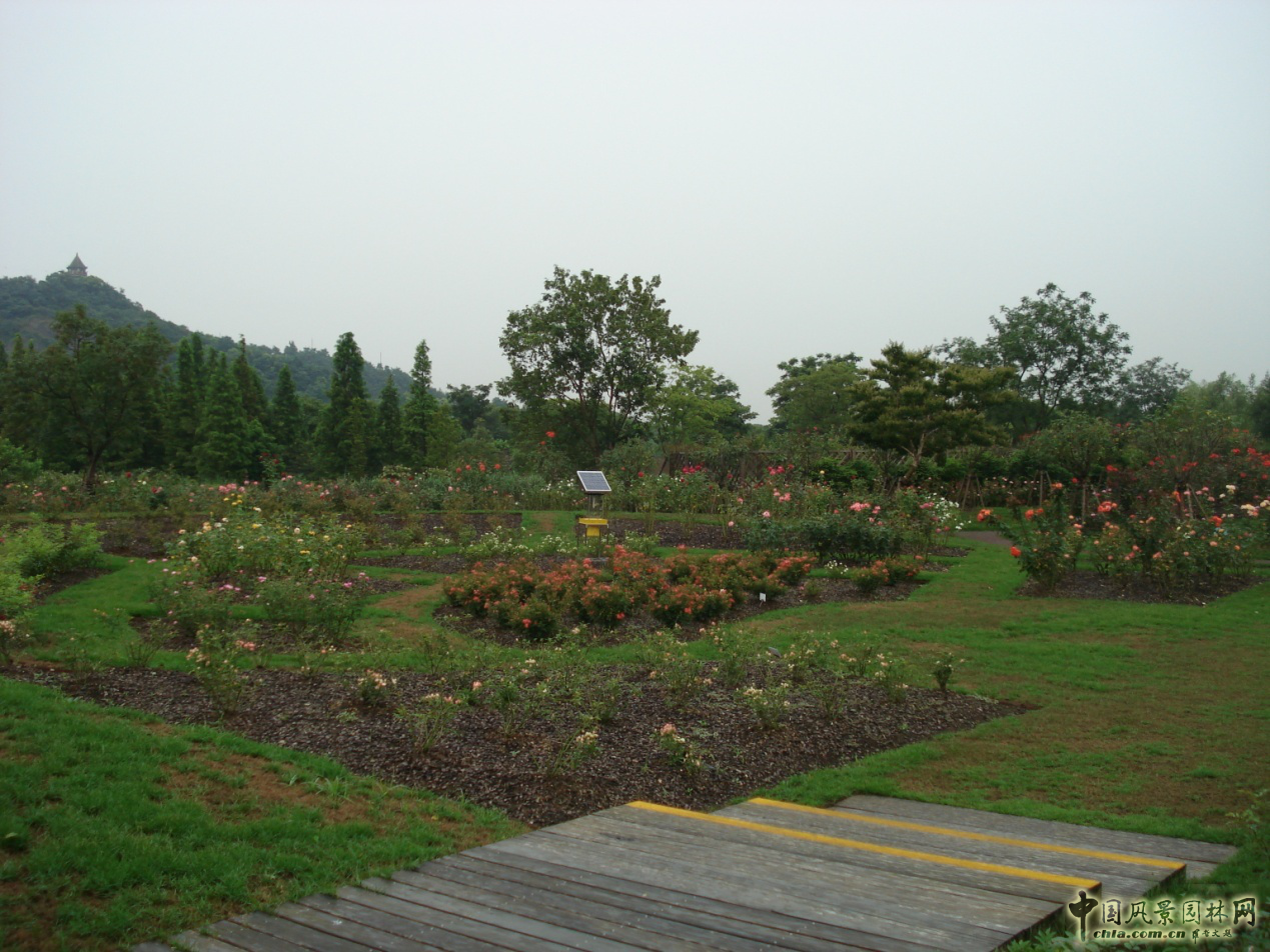 系列報道3：南林風景園林學院走進企業(yè)和學校