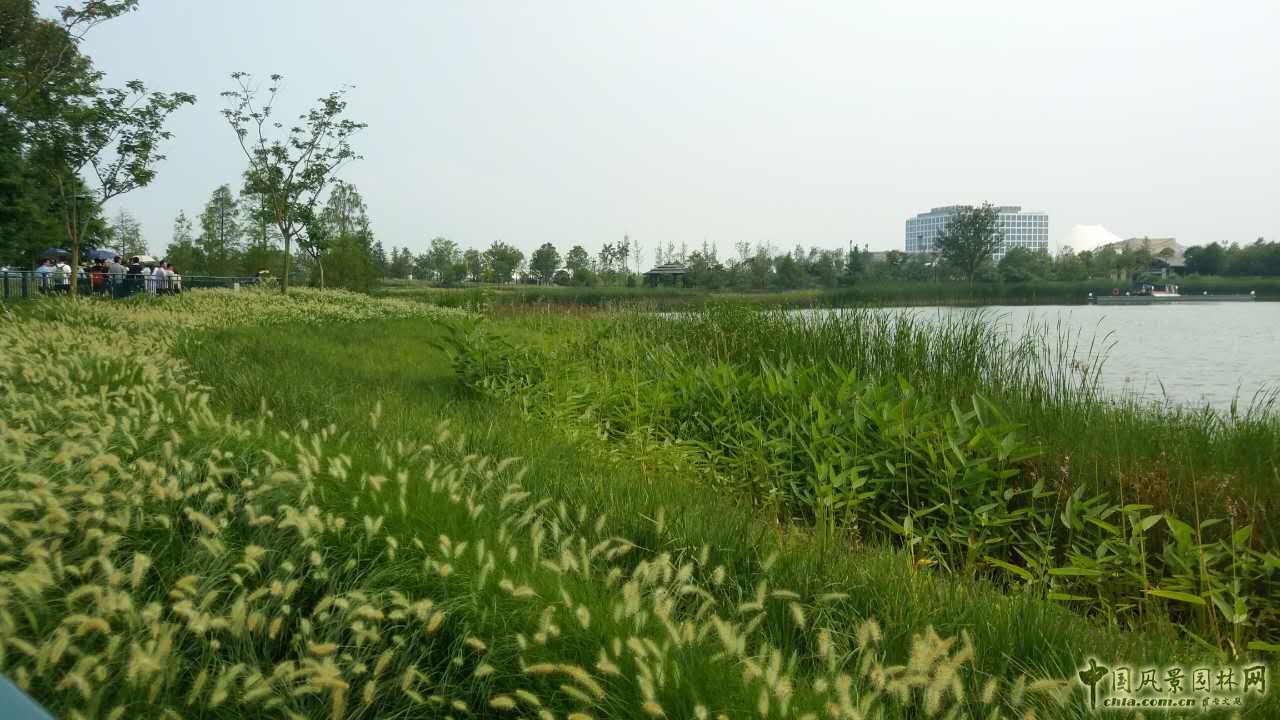 系列報道4：南林風景園林學院走進上海園林集團