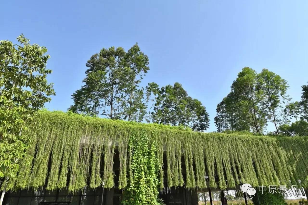 馬來西亞加里斯建筑師的弧形景觀設(shè)計(jì)