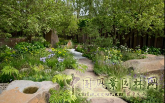 2016 Chelsea Flower Show 切爾西花展獲獎(jiǎng)作品——金獎(jiǎng)