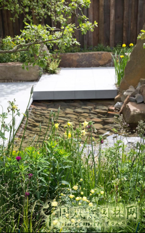 2016 Chelsea Flower Show 切爾西花展獲獎(jiǎng)作品——金獎(jiǎng)